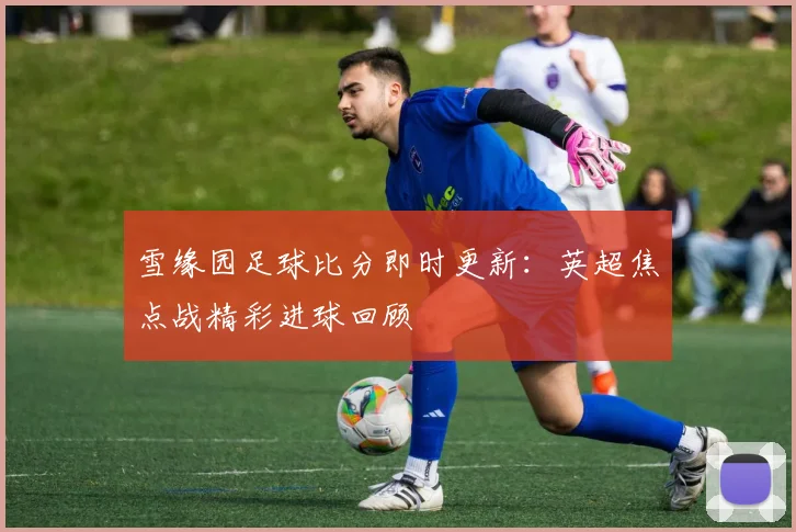 雪缘园足球比分即时更新：英超焦点战精彩进球回顾