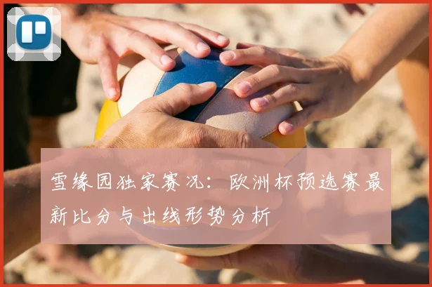雪缘园独家赛况：欧洲杯预选赛最新比分与出线形势分析